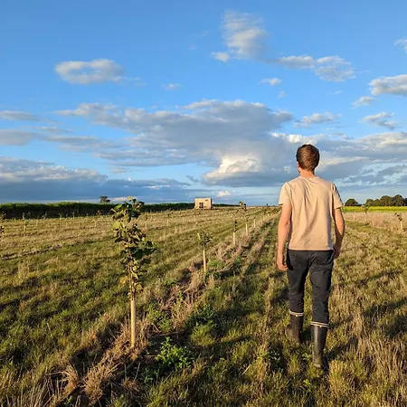 La Tiny House Et La De L'ouchette Bregy